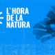 Cartell pel Dia Mundial del Medi Ambient