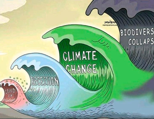 canvi climàtic