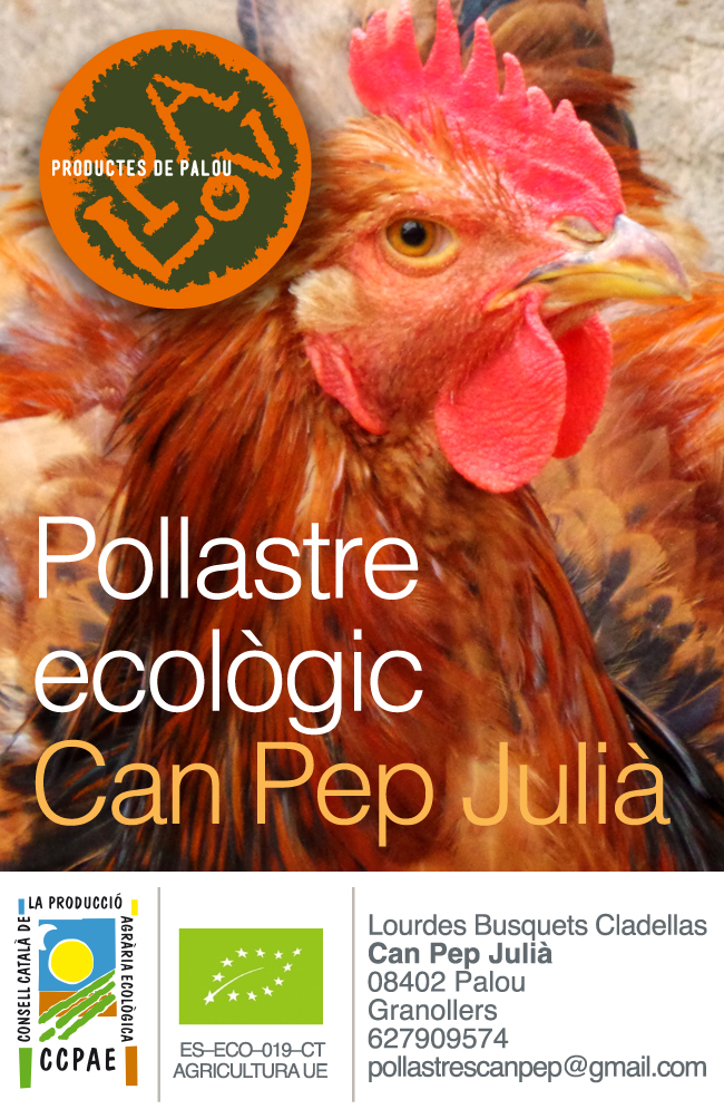 Original etiqueta pollastre_4